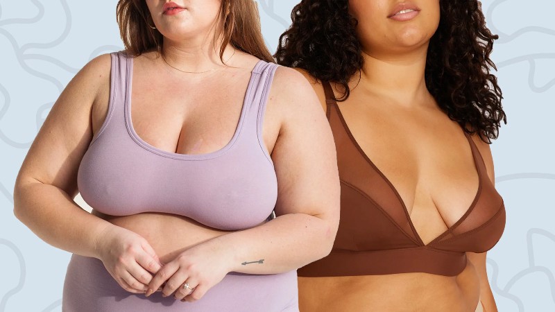 The Right Sense of Style with the Plus Size Undergarments